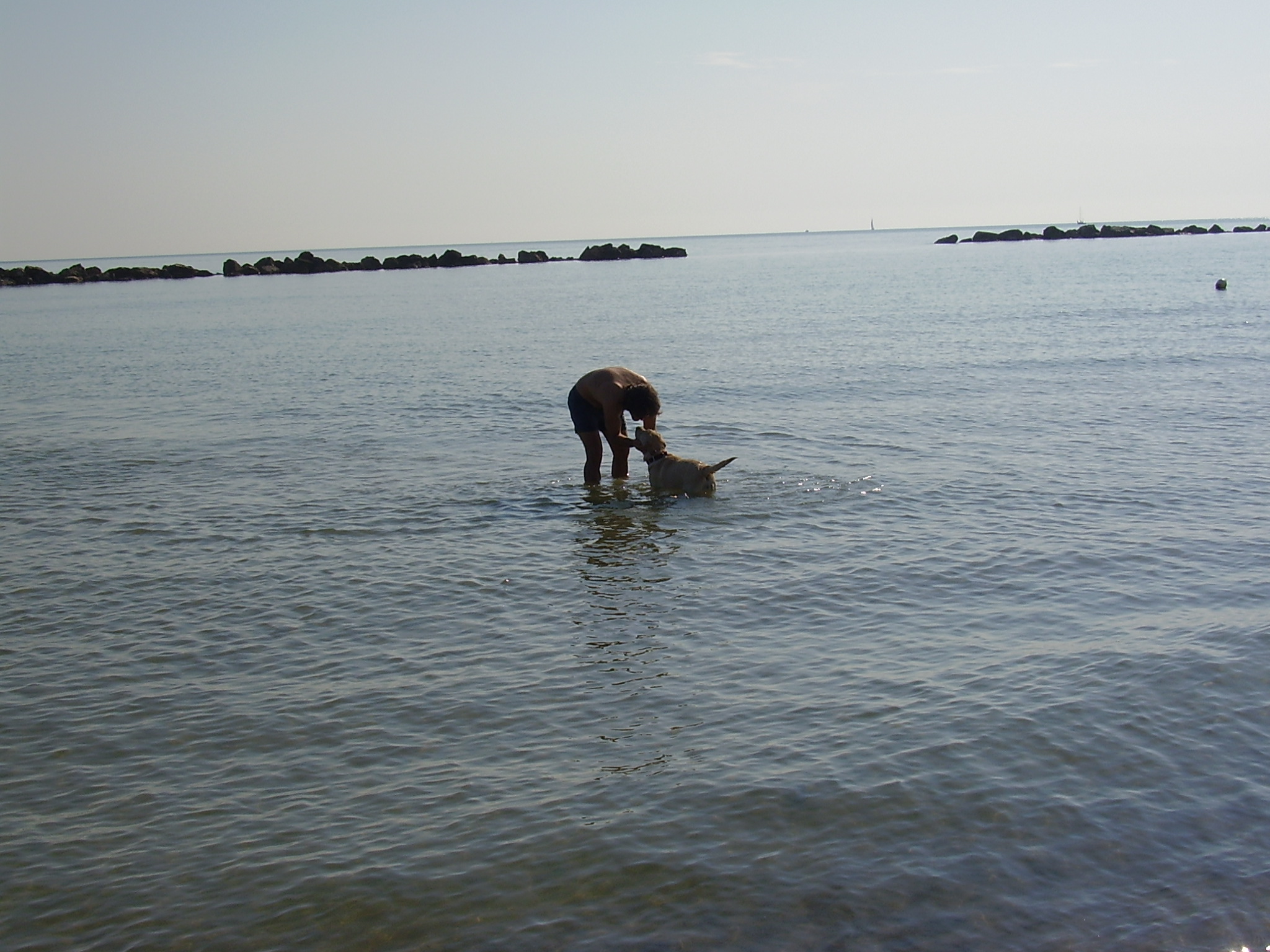 foto del cane zara al mare 2