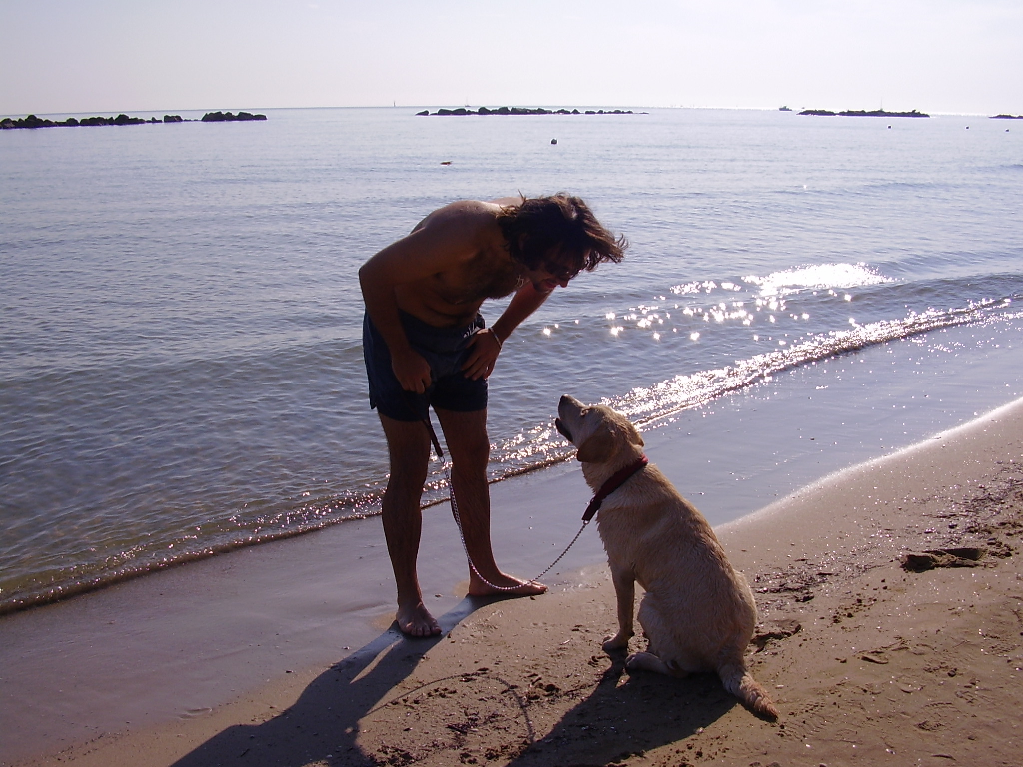 foto del cane Zara al mare