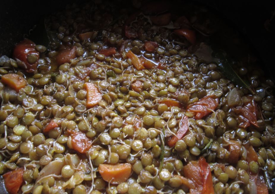 lenticchia germogliata