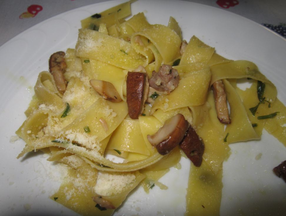  una porzione di pappardelle ai porcini 