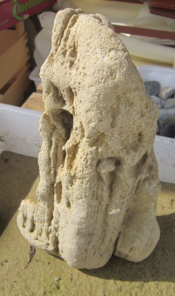  pietre naturali trovate in giro detti :suiseki cioè pietre lavorate dalla natura!
